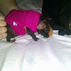 Meet your Posher, Julia